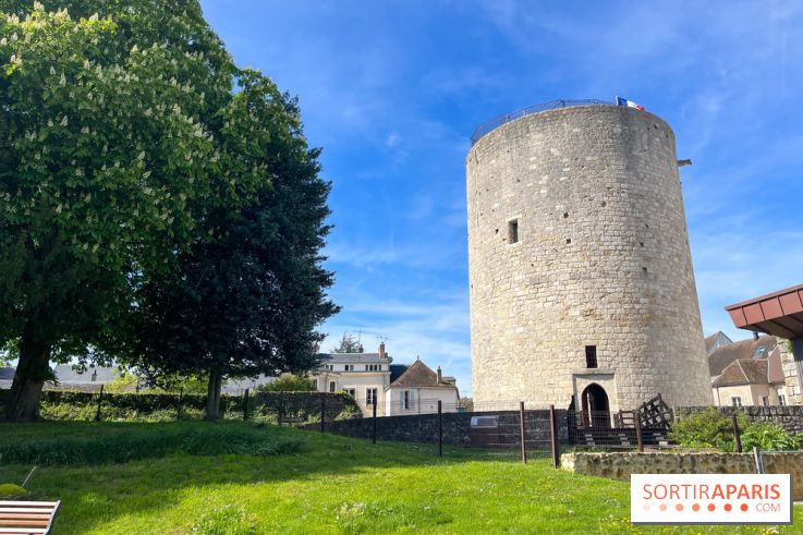 Château de Dourdan - nos photos - image00036