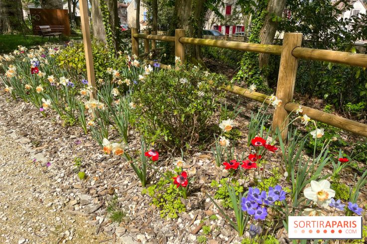 Le parc Lejars-Rouillon - nos photos - image00019