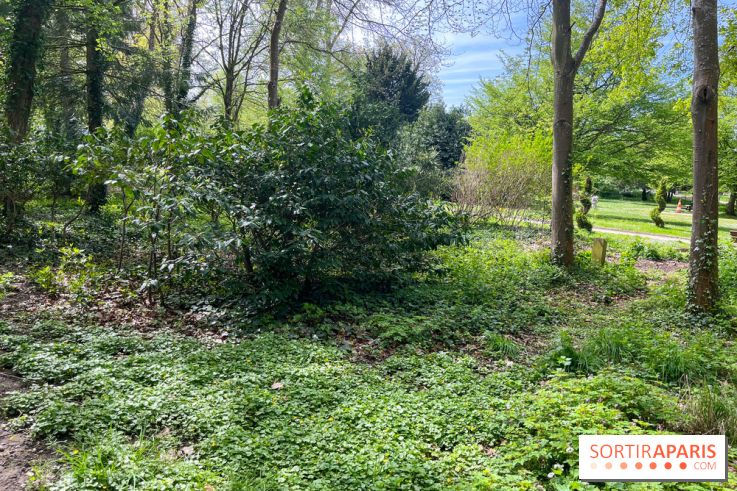 Le parc Lejars-Rouillon - nos photos