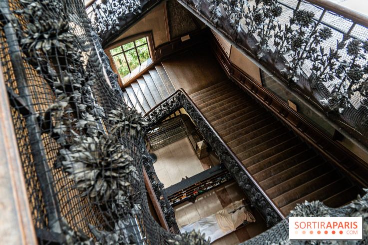 La Galerie de Paléontologie et d'Anatomie comparée du Muséum au Jardin des Plantes -  A7C7468