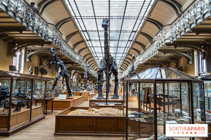 La Galerie de Paléontologie et d'Anatomie comparée du Muséum au Jardin des Plantes -  A7C7472