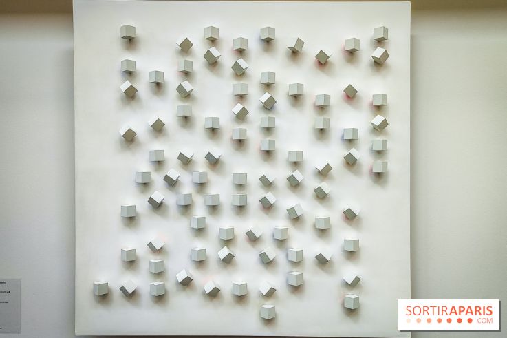 Le MAC-VAL, le musée d'art contemporain du Val-de-Marne et ses collections à portée de Navigo - Luis Tomasello