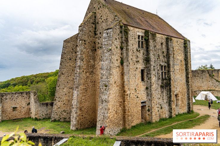 Les Rendez-vous de la Madeleine à Chevreuse -  A7C2555