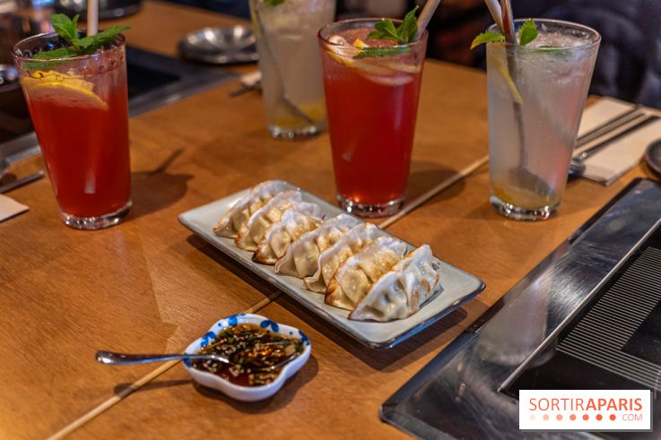 Hwaro Grill, le barbecue Coréen Paris 15e -  raviolis frits