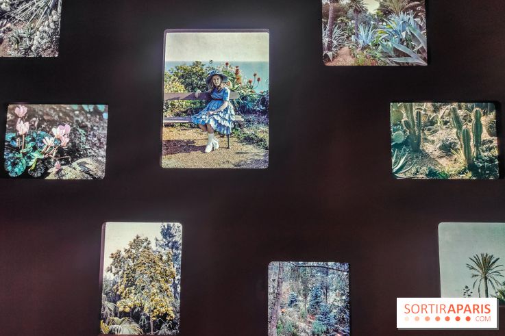 Natures vivantes : l'exposition photo qui met à l'honneur les jardins du musée Albert Kahn - photos - IMG20240429145512