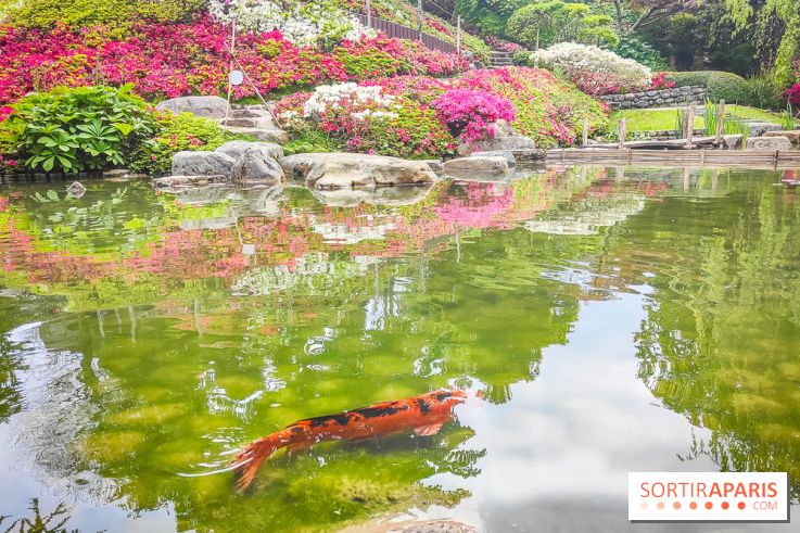 Natures vivantes : l'exposition photo qui met à l'honneur les jardins du musée Albert Kahn - photos - IMG20240429154837