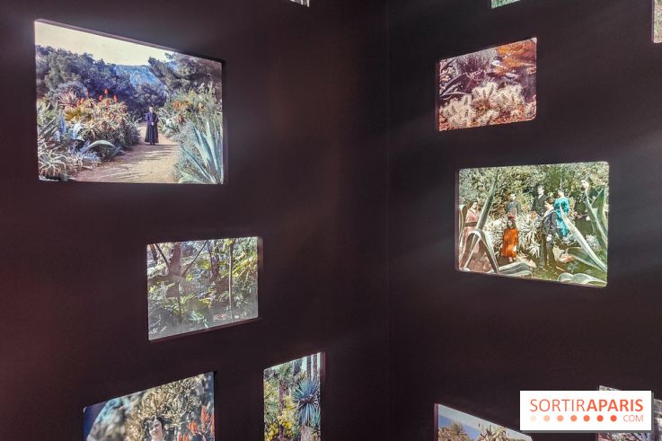 Natures vivantes : l'exposition photo qui met à l'honneur les jardins du musée Albert Kahn - photos
