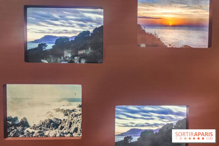 Natures vivantes : l'exposition photo qui met à l'honneur les jardins du musée Albert Kahn - photos - IMG20240429145449