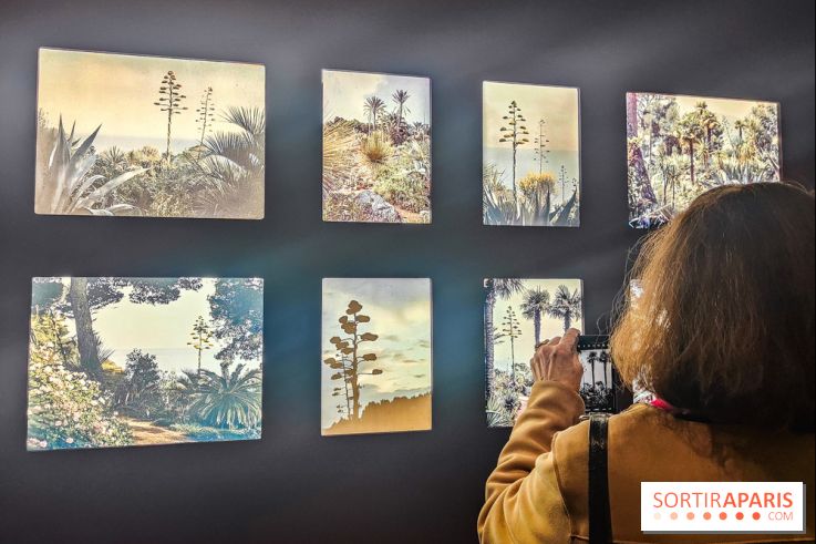 Natures vivantes : l'exposition photo qui met à l'honneur les jardins du musée Albert Kahn - photos - IMG20240429150123