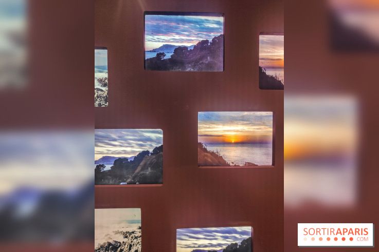 Natures vivantes : l'exposition photo qui met à l'honneur les jardins du musée Albert Kahn - photos