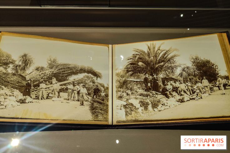 Natures vivantes : l'exposition photo qui met à l'honneur les jardins du musée Albert Kahn - photos - IMG20240429150227