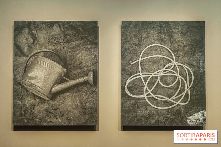 Natures vivantes : l'exposition photo qui met à l'honneur les jardins du musée Albert Kahn - photos - IMG20240429150240