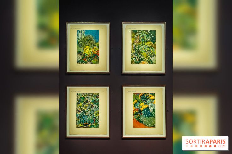 Natures vivantes : l'exposition photo qui met à l'honneur les jardins du musée Albert Kahn - photos - IMG20240429145747