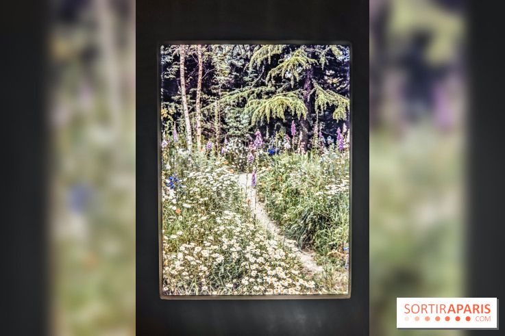 Natures vivantes : l'exposition photo qui met à l'honneur les jardins du musée Albert Kahn - photos