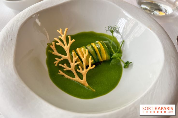 Mavrommatis : Menu Initiation - Mavrommatis