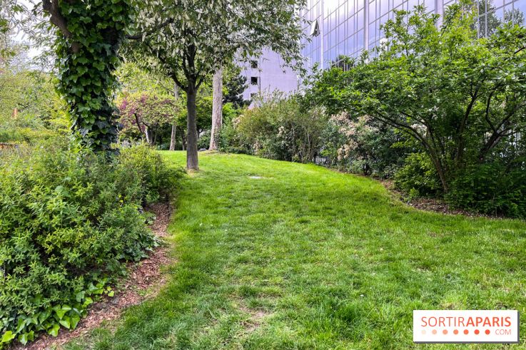 Jardin Villemin - nos photos - image00026