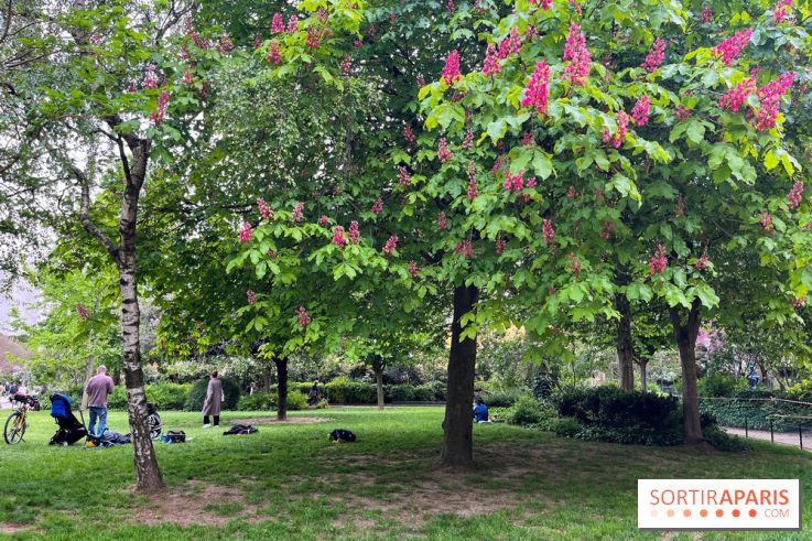 Jardin Villemin - nos photos
