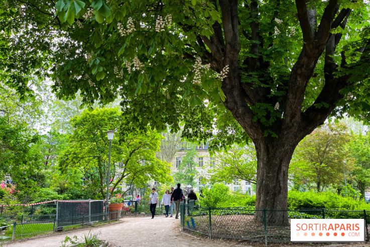 Jardin Villemin - nos photos - image00018