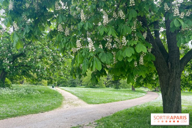 Le parc de Bois-Préau - nos photos