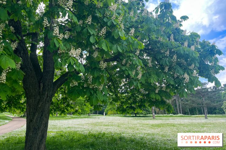 Le parc de Bois-Préau - nos photos
