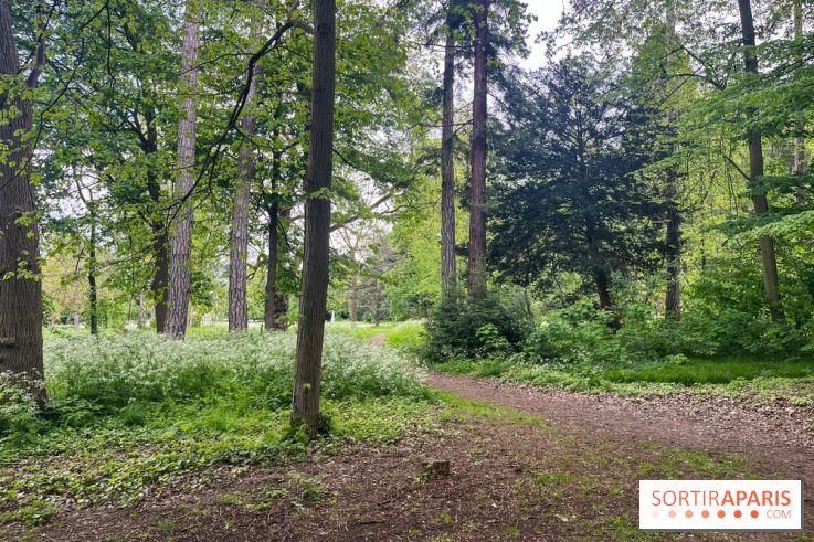 Le parc de Bois-Préau - nos photos