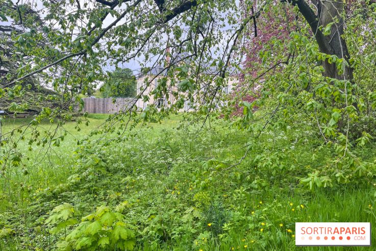 Le parc de Bois-Préau - nos photos