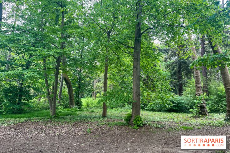 Le parc de Bois-Préau - nos photos