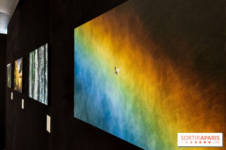 Reflets de la nature, nos photos de l'exposition - 20240507 141029