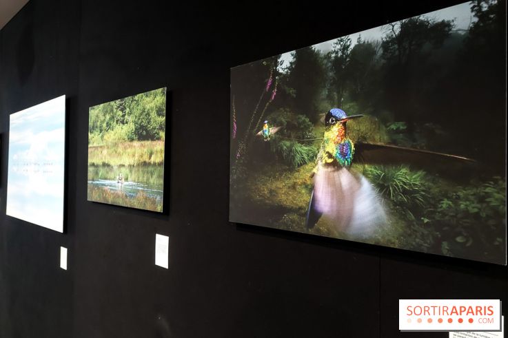 Reflets de la nature, nos photos de l'exposition - 20240507 141206