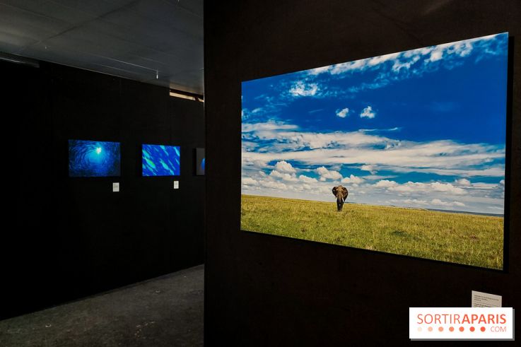 Reflets de la nature, nos photos de l'exposition - 20240507 141333