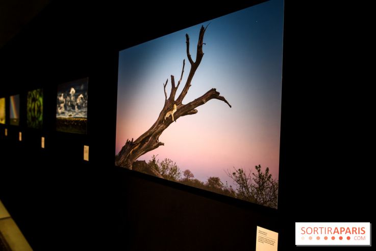 Reflets de la nature, nos photos de l'exposition