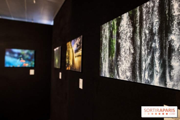 Reflets de la nature, nos photos de l'exposition