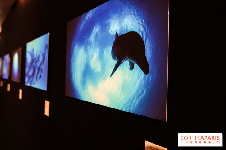 Reflets de la nature, nos photos de l'exposition