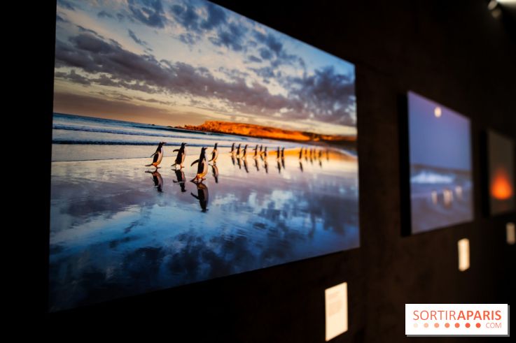 Reflets de la nature, nos photos de l'exposition