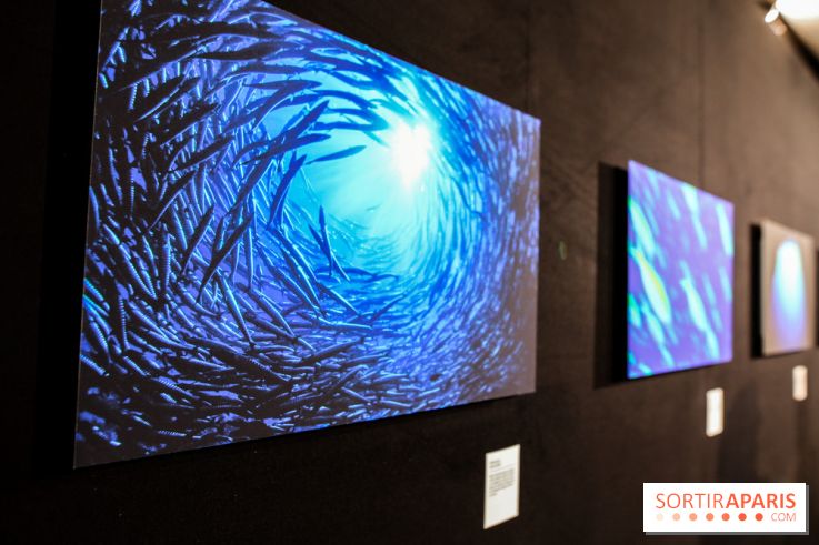 Reflets de la nature, nos photos de l'exposition - IMG 4828