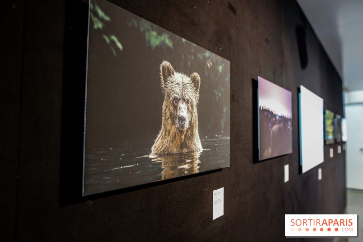 Reflets de la nature, nos photos de l'exposition - IMG 4832