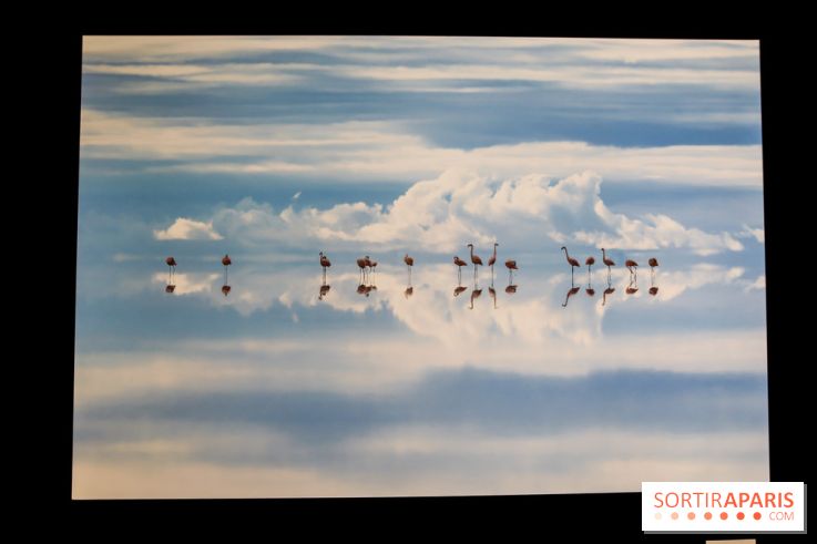 Reflets de la nature, nos photos de l'exposition