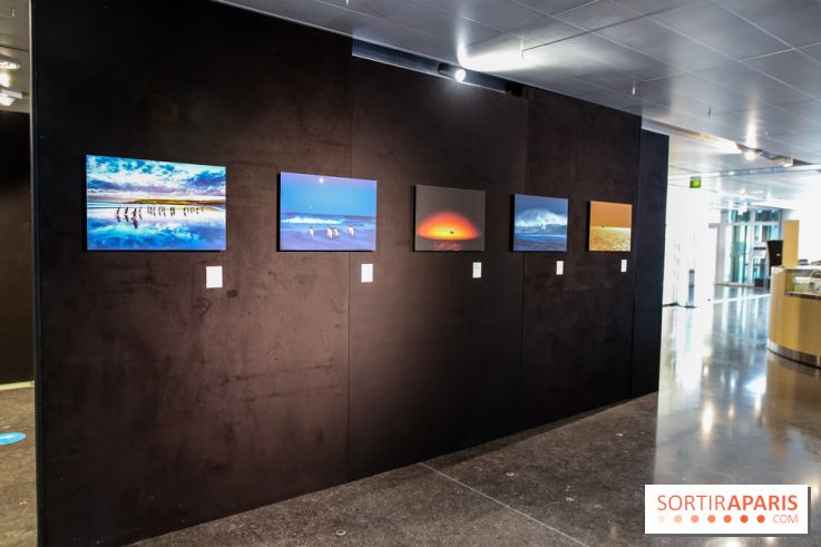 Reflets de la nature, nos photos de l'exposition - IMG 4835