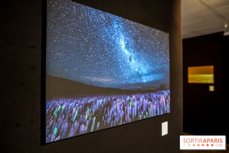 Reflets de la nature, nos photos de l'exposition