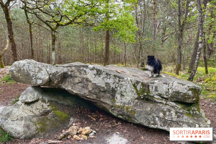 Dolmen de la Pierre Ardoue - IMG 0972
