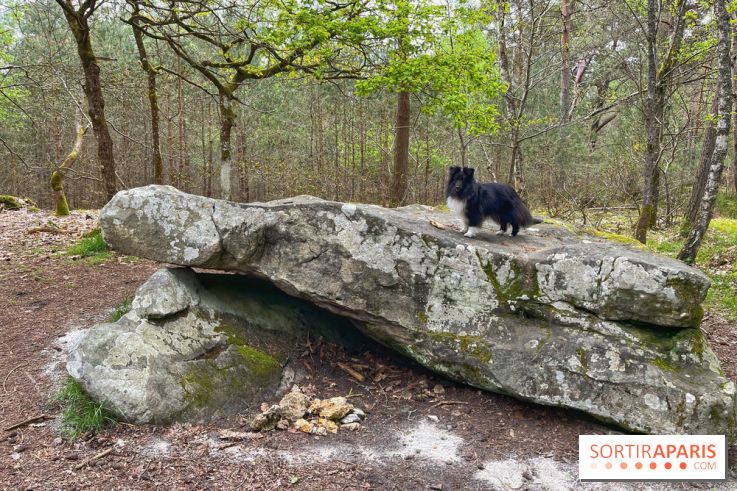 Dolmen de la Pierre Ardoue - IMG 0974