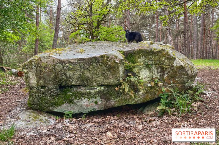 Dolmen de la Pierre Ardoue - IMG 0983