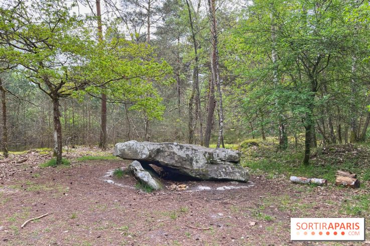 Dolmen de la Pierre Ardoue