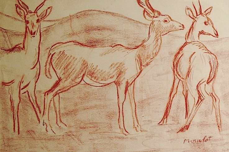 Campagne #32834 - Dessin Gazelles (sanguine)Mourlot Maurice