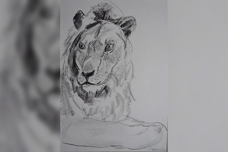 Campagne #32834 - Dessin N & B M. Mourlot