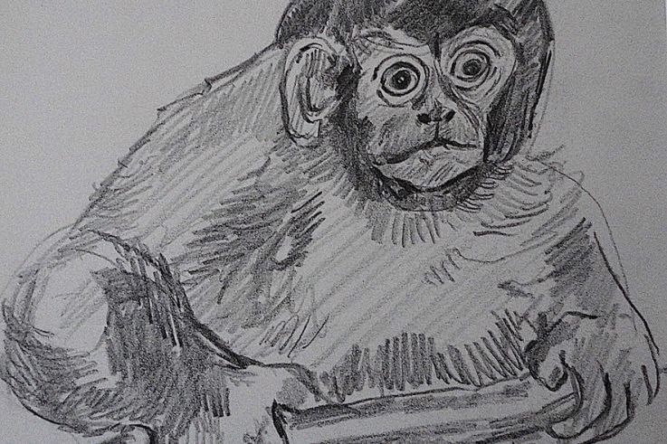 Campagne #32834 - Dessin N&B Maurice Mourlot 