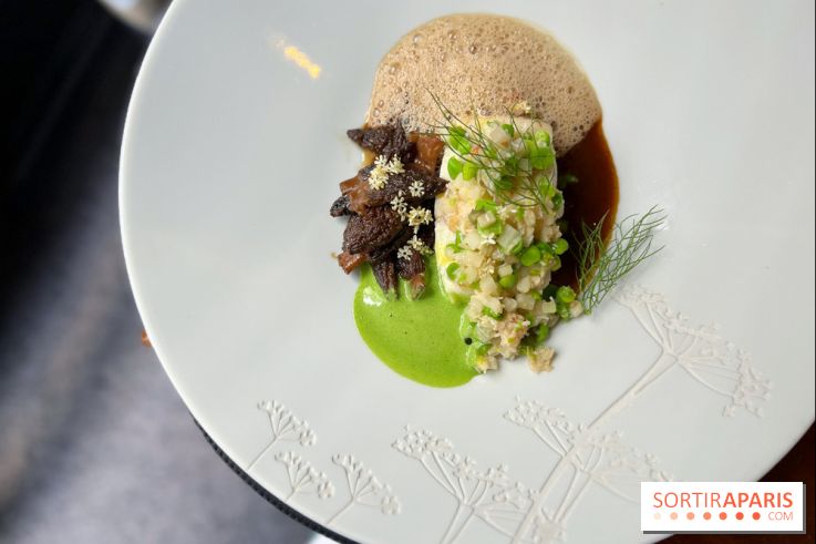 Auguste - Turbot, petits pois, tourteau