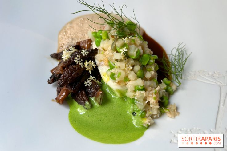 Auguste - Turbot, petits pois, tourteau