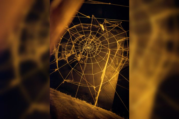 L'Aventure Fantastique - yann delcambre F   25