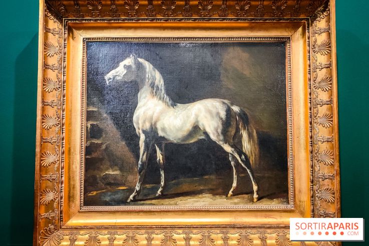 Les chevaux de Géricault : l'exposition hommage au peintre se dévoile au musée de la Vie Romantique - IMG20240514100459